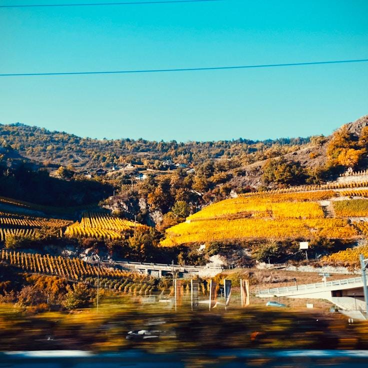 Outdoor terrace seating suitable for families in Lisboa
